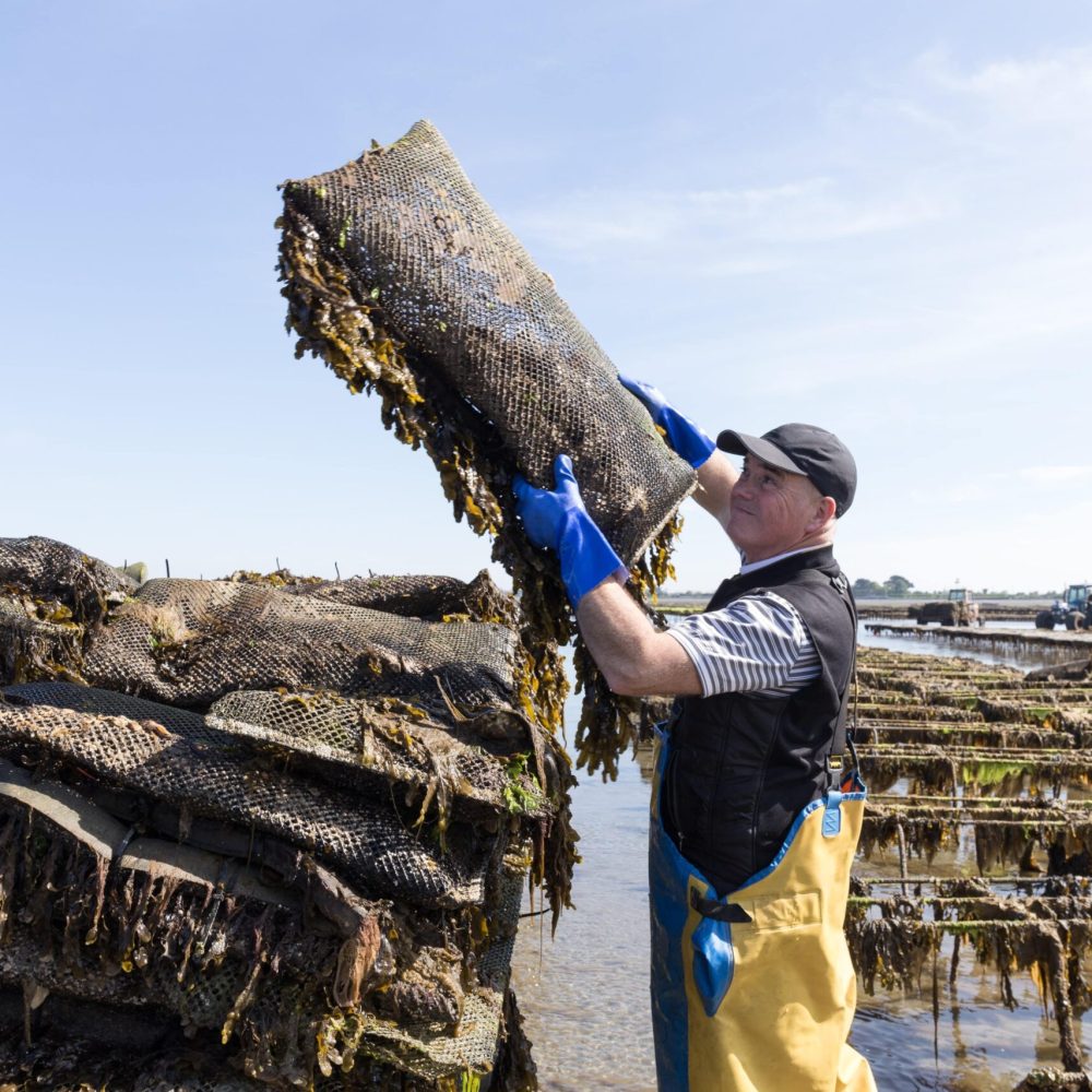 Cooley-Oysters-28-min-min
